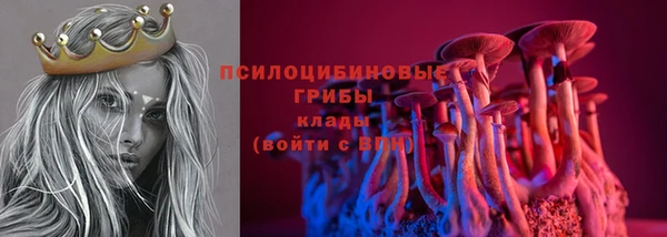 mdpv Елизово