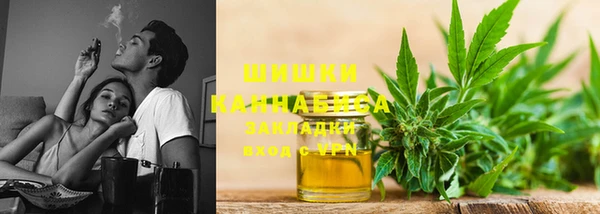 скорость Ельня