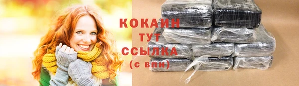 скорость Ельня