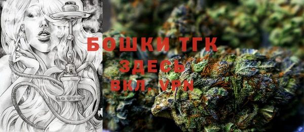 твердый Елабуга