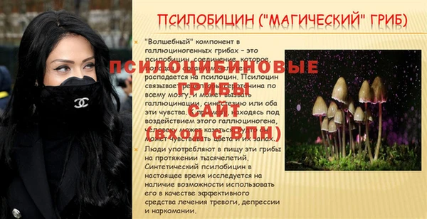 mdpv Елизово