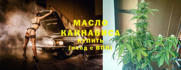 скорость Ельня