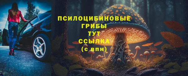 твердый Елабуга
