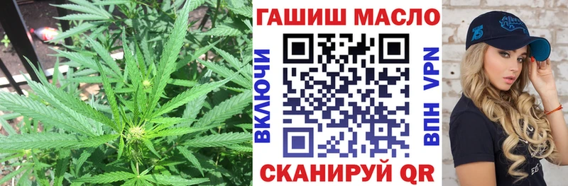 Купить где  Кировск  Дистиллят ТГК THC oil 