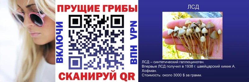 Купить где  Кировск  Псилоцибиновые грибы ЛСД 